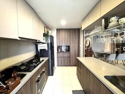 Parc Life (D27), Condominium #499961911